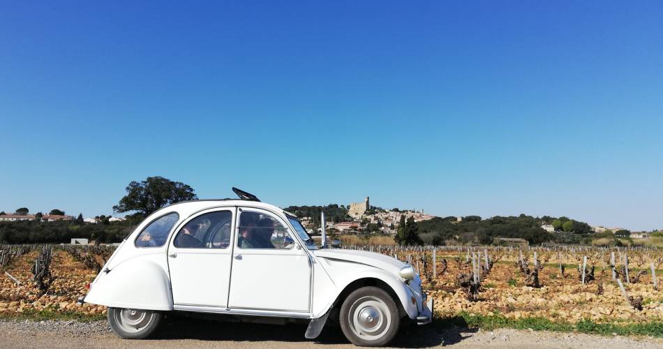 Discovery of Châteauneuf du Pape wines and vineyards by the legendary 2CV@©La Bastide Saint Dominique