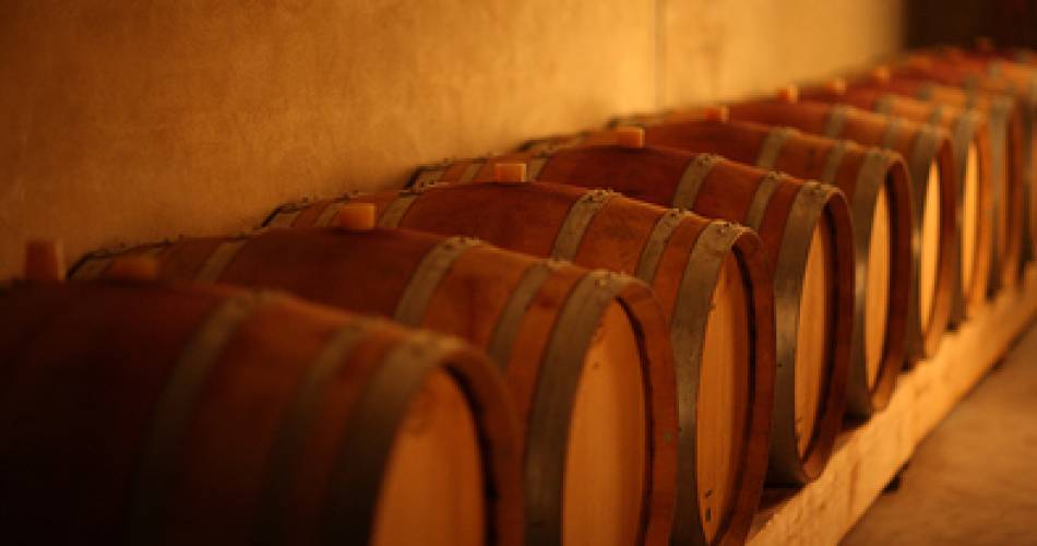 Découverte des Vins de Châteauneuf du Pape et du vignoble à bord de la mythique 2CV@©La Bastide Saint Dominique