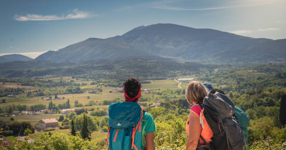 Wandelroute GR® de Pays Tour des Dentelles de Montmirail@M. PLANQUE