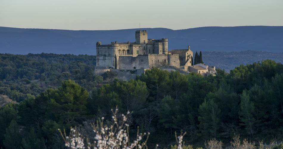 Visitez le Château du Barroux@Château du Barroux