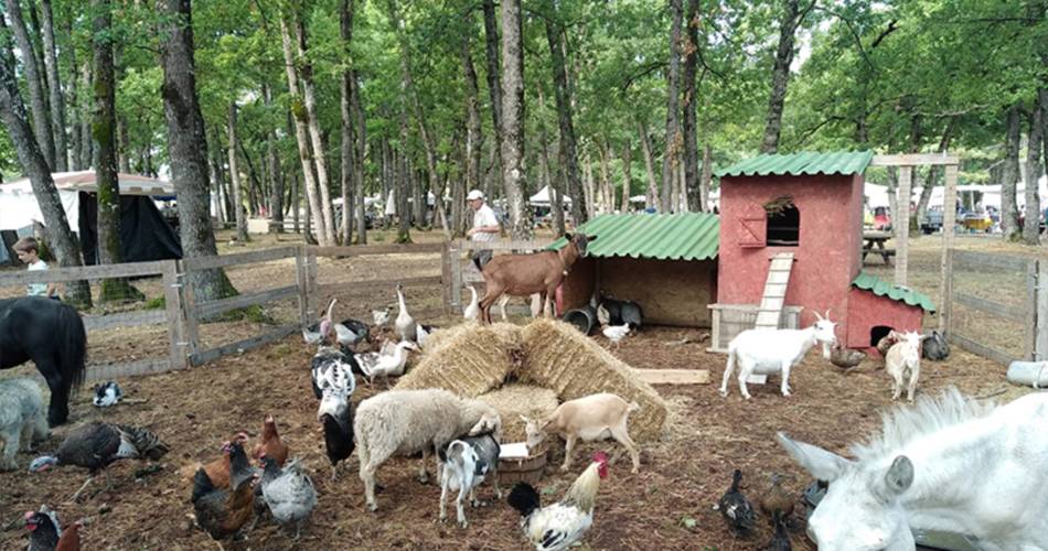 The Bacchus Stables@Les Ecuries de Bacchus