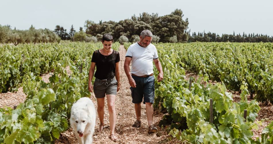 Domaine Chant des Loups@Camille Meffre