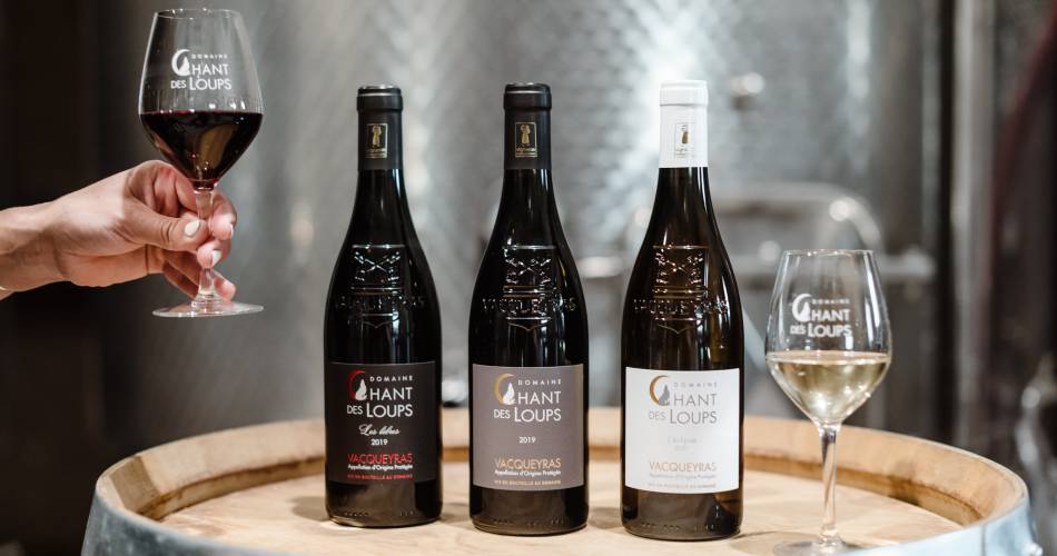 Domaine Chant des Loups@Camille Meffre