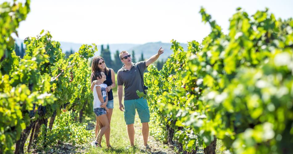 Het wijngaardpad van kasteel Pesquié@Copyright www.thomasobrien.fr