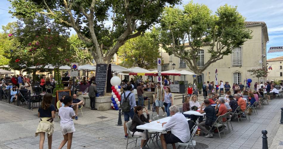 Fête nationale et pique-nique républicain@@mairie de Villeneuve lez Avignon
