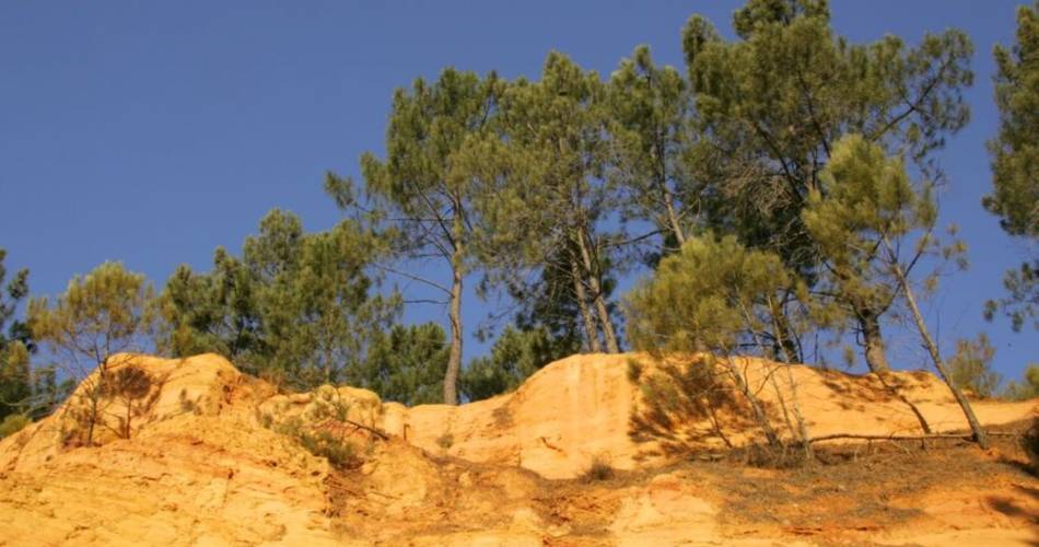 Les journées européennes du patrimoine : Visite guidée dans les ocres@©Parc Naturel et Régional du Mont Ventoux