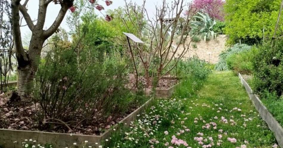 Jardin Conservatoire des Plantes Tinctoriales@Muriel Guendon