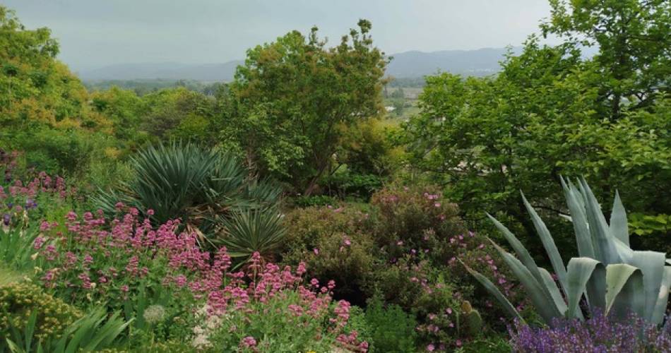 Jardin Conservatoire des Plantes Tinctoriales@Muriel Guendon