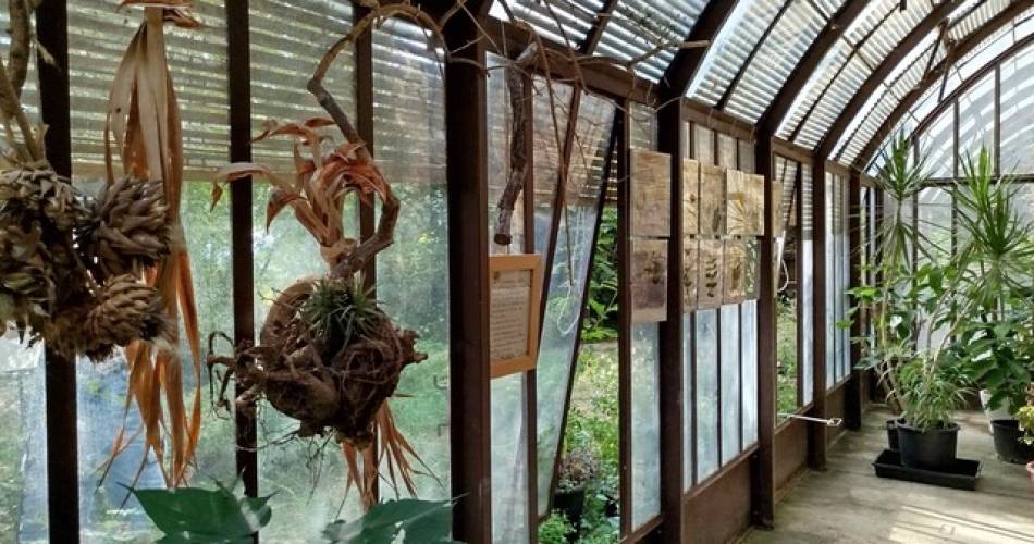 Jardin Conservatoire des Plantes Tinctoriales@Muriel Guendon