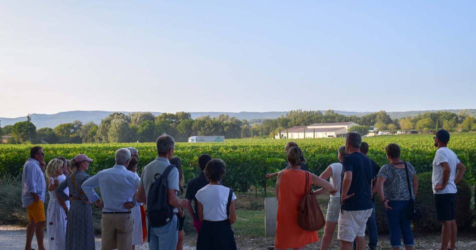 Sunsets Vignerons in the Luberon at Domaine La Garelle@©Destination Luberon