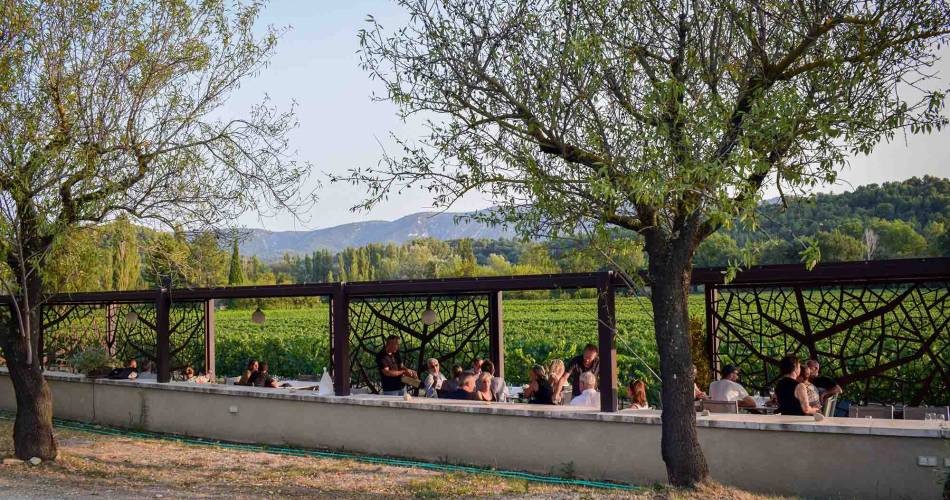 Sunsets Vignerons in the Luberon at Domaine La Garelle@©Destination Luberon