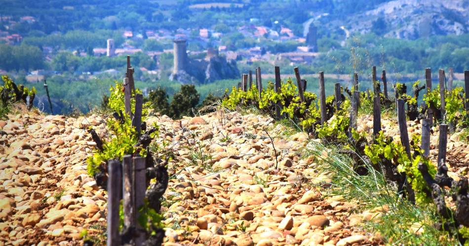 R02  - Châteauneuf du Pape-Kulturerbe@Orange tourisme