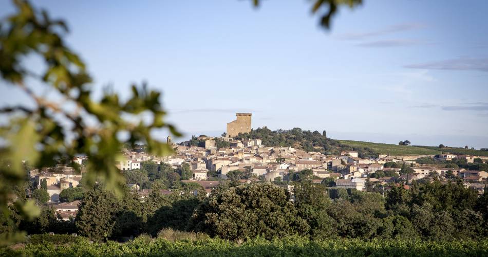 R02  - Châteauneuf du Pape - Heritage@©Agence Akta