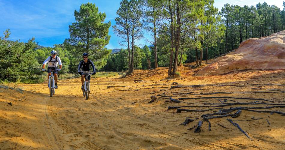 Electric Mountain bike route no.5: Grand tour of Mont Ventoux GPS@VPA