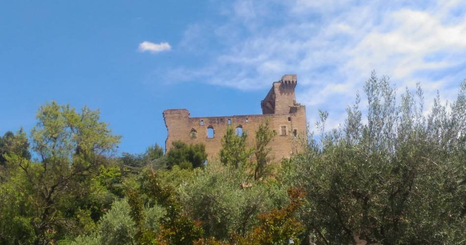 Journées du Patrimoine : Châteauneuf-du-Pape, des vignes au château@©Châteauneuf du Pape Tourism