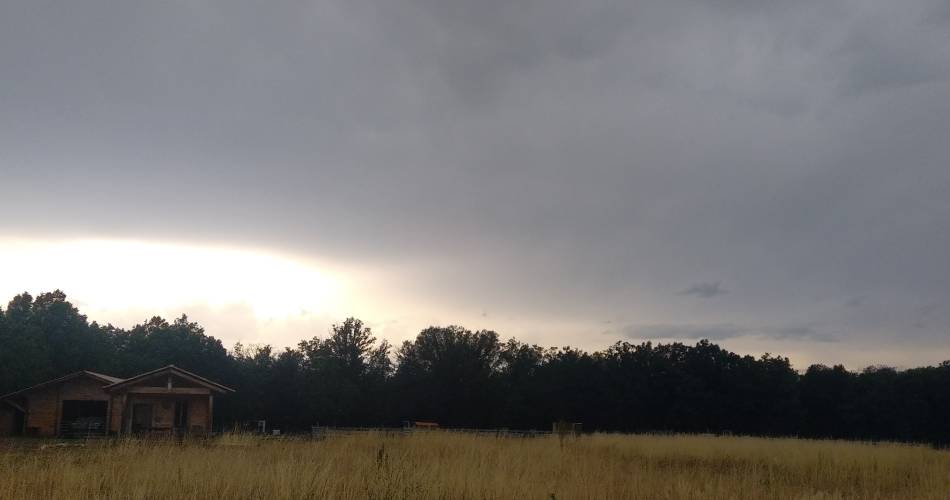 Holy' Day Ranch@Holy' Day Ranch