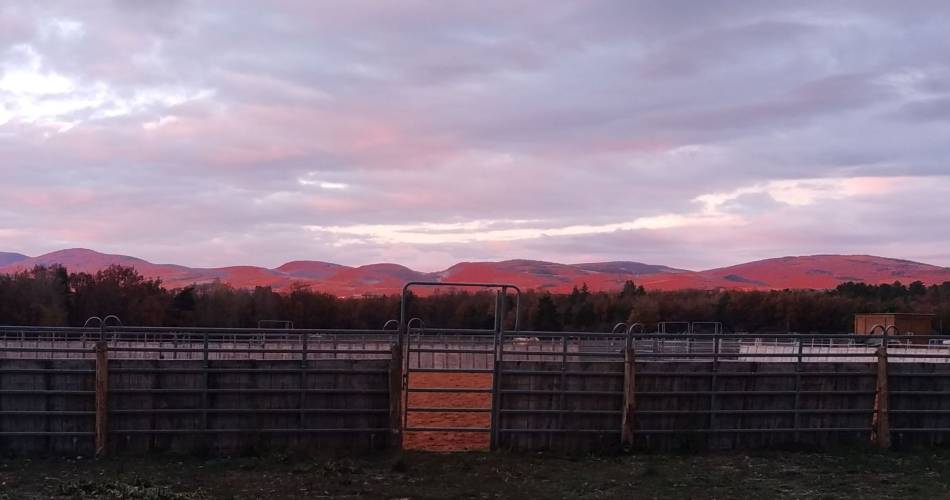 Holy' Day Ranch@Holy' Day Ranch