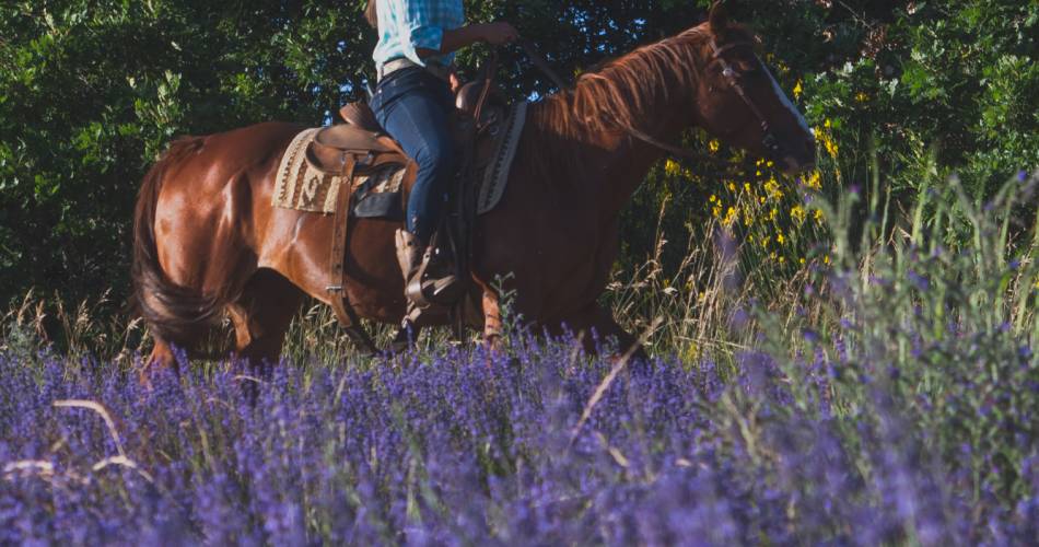 Holy' Day Ranch@Fabrice Jimenez