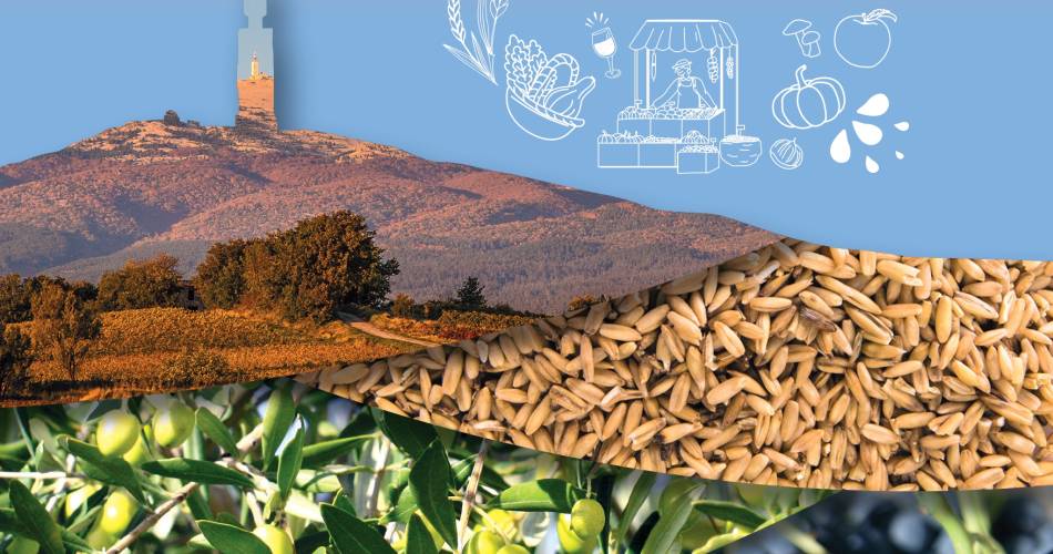 Festival „Ventoux Saveurs“ – Die schmackhafte Geschichte des berühmten Pontias@Parc du Mont-Ventoux