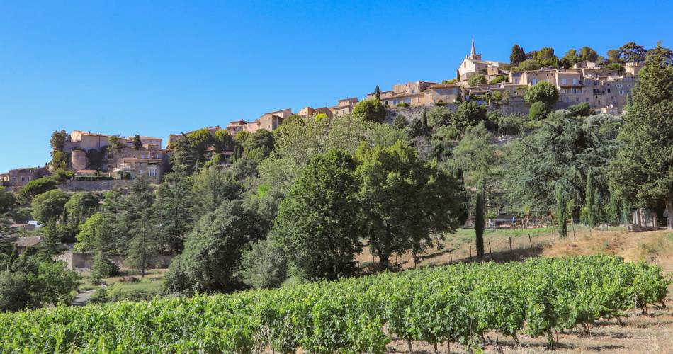 GR® 653D - Voie Domitienne - Compostelle par Arles - De Castellet-en-Luberon à Cavaillon@Coll. VPA / A. Hocquel