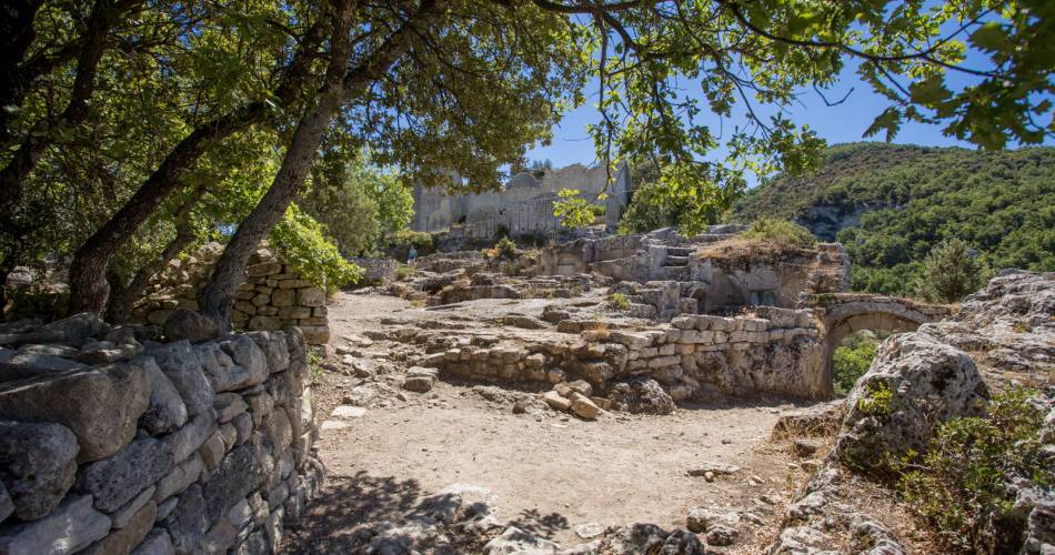 Wandelroute GR® in Pays Luberon - Monts de Vaucluse: een wandeltocht over Plateau des Claparèdes@Coll. VPA / A. Hocquel