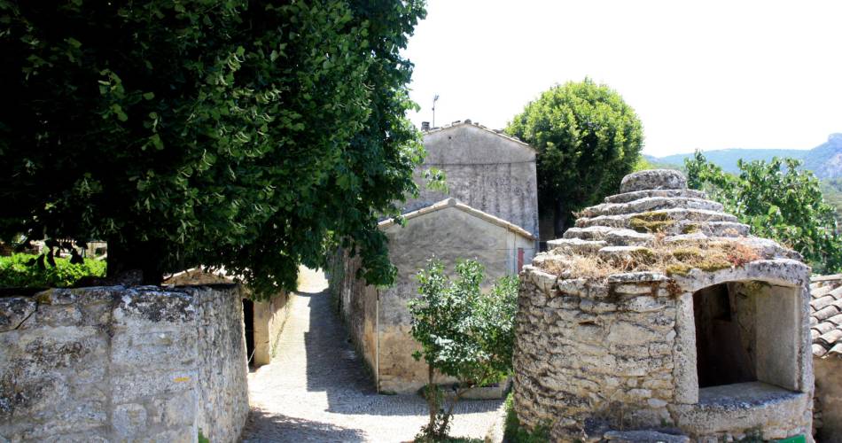 Wandelroute GR® in Pays Luberon - Monts de Vaucluse: een wandeltocht over Plateau des Claparèdes@Coll. VPA / A. Hocquel