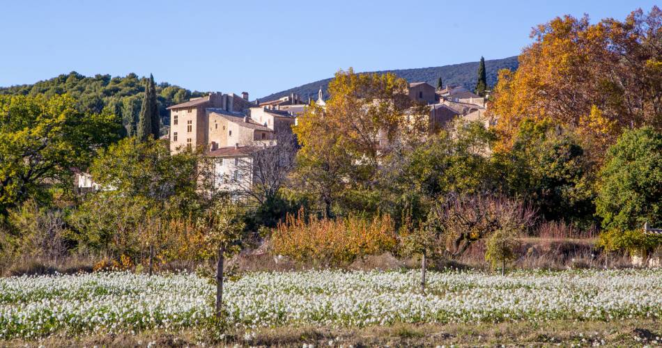 GR® de Pays: Luberon and the Vaucluse Mountains – Around the Claparèdes Plateau@Coll. VPA / A. Hocquel
