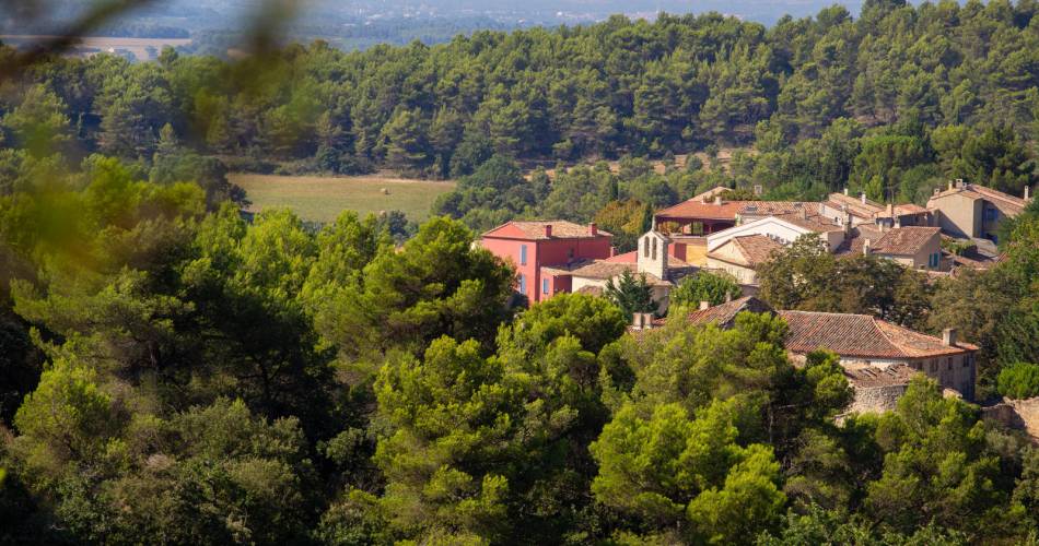GR® de Pays: Luberon and the Vaucluse Mountains – Around Grand Luberon@Coll. VPA / H. Hocquel