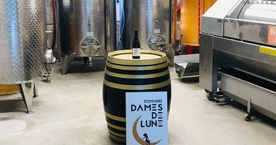 Découverte de la cave de vinification - Domaine Dames de Lune@Domaine Dames de Lunes
