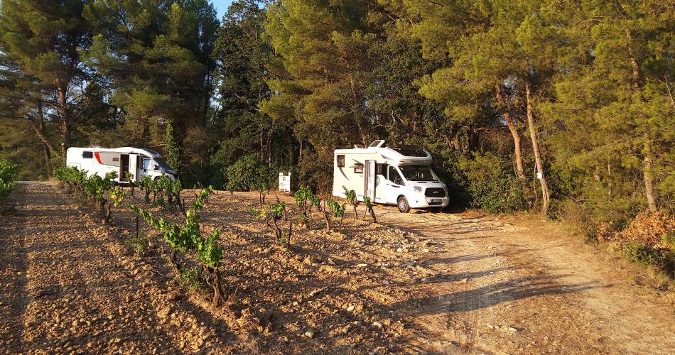 Camping under the stars at Domaine les Touchines@Domaine les Touchines