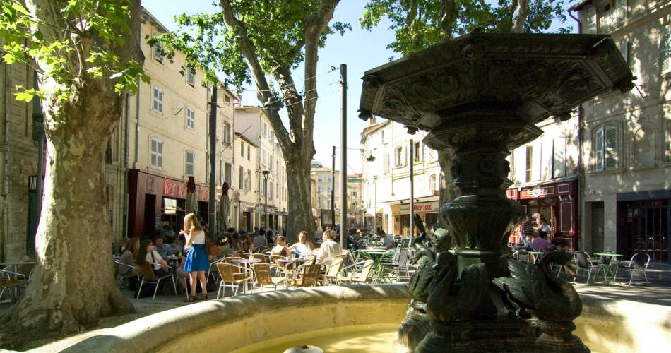 De stedelijke tocht door Avignon: “Avignon te voet, van het onontbeerlijke tot de verborgen schatten”.@©Clémence Rodde - Avignon Tourisme