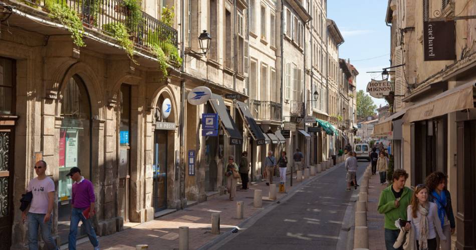 De stedelijke tocht door Avignon: “Avignon te voet, van het onontbeerlijke tot de verborgen schatten”.@©Yann de Fareins