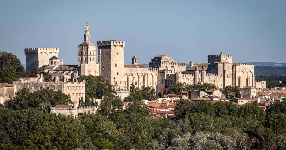 De stedelijke tocht door Avignon: “Avignon te voet, van het onontbeerlijke tot de verborgen schatten”.@©Empreintes d'ailleurs