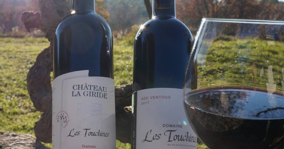 Dégustation en accords mets et vins - Domaine les Touchines@Domaine les Touchines