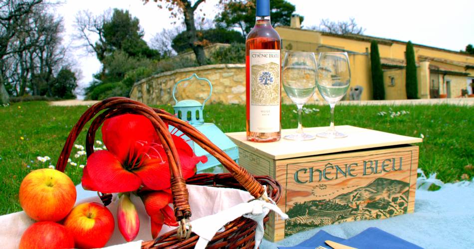 Picnic at Domaine Chêne Bleu@Chêne Bleu