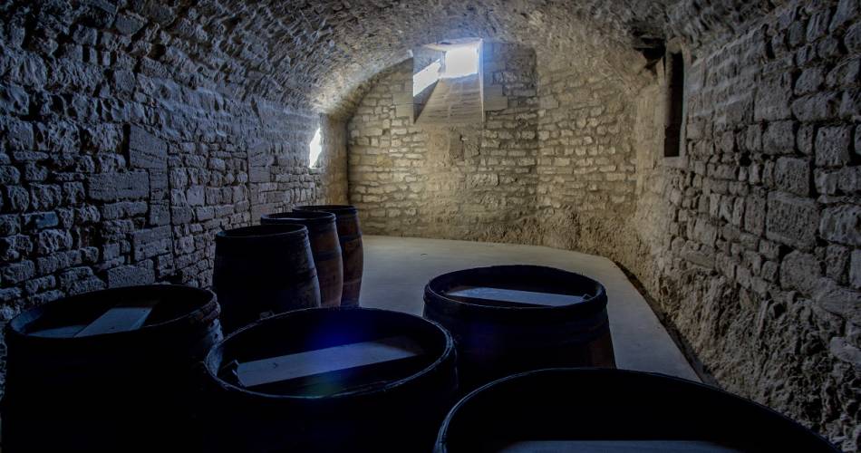 Atelier dégustation Fromages & Whiskys - Château du Barroux@Château du Barroux