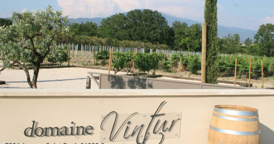 Visite guidée du vignoble et de la cave - Domaine Vintur@Domaine Vintur