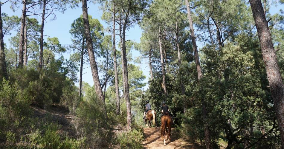 Les Bazarettes - Balades et randonnées à cheval@Les Bazarettes