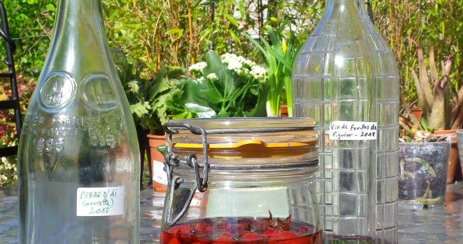 Plantes et recettes paysannes@Geo2