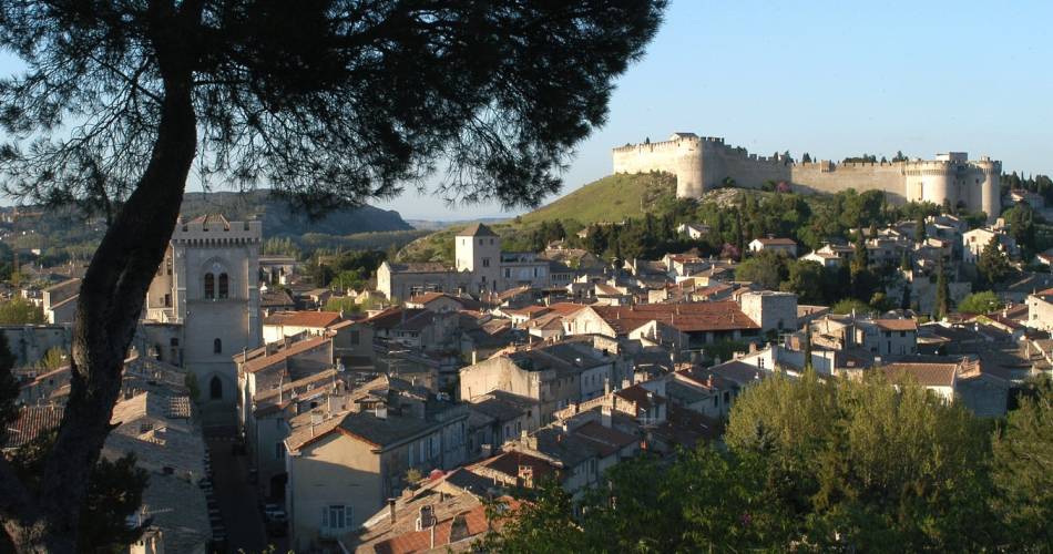 Jardins et châteaux de la colline de Montau@©mairie de Villeneuve lez Avignon