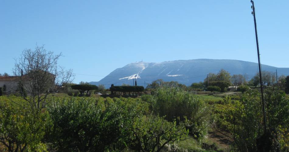 Le Jas des Grands Cèdres@Le Jas des Grands Cèdres