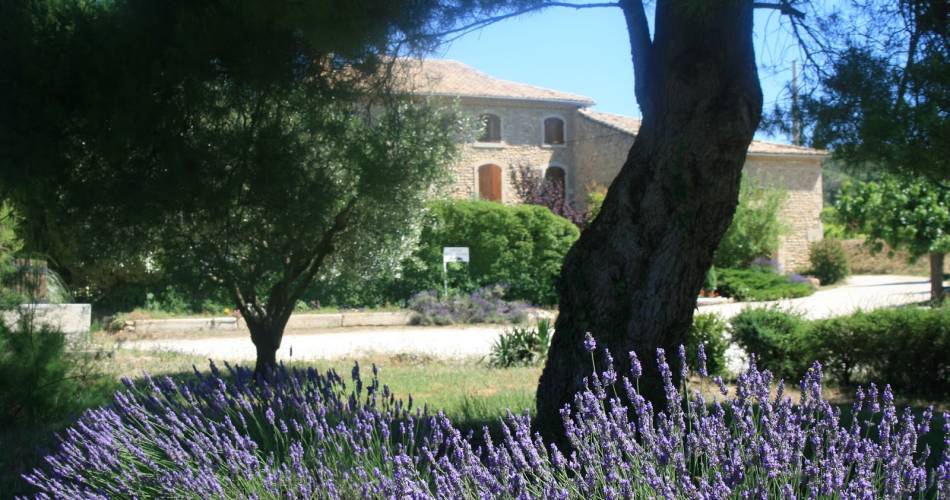Clos du Père Clément@Clos du Père Clément