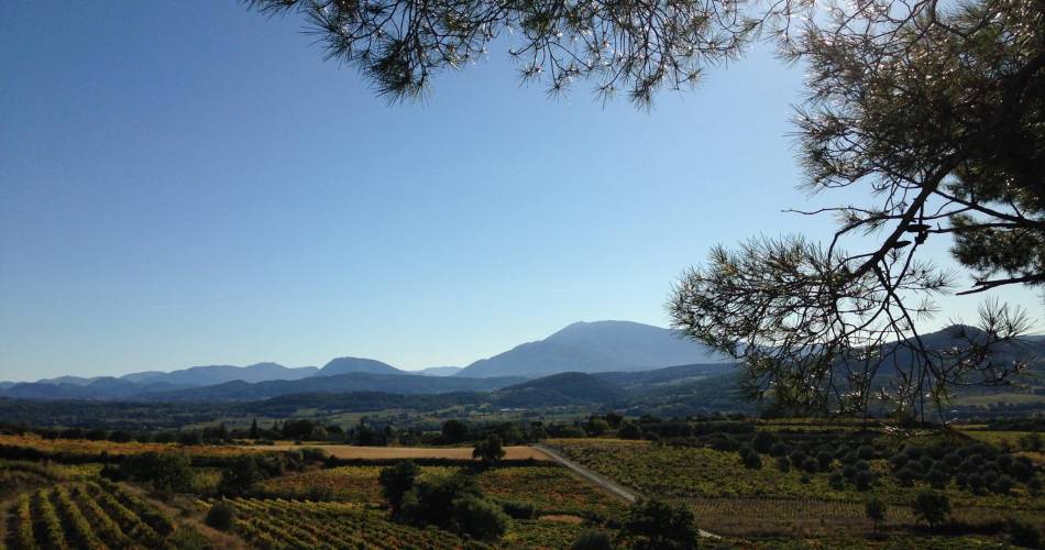 Domaine des Auzières@Domaine des Auzières