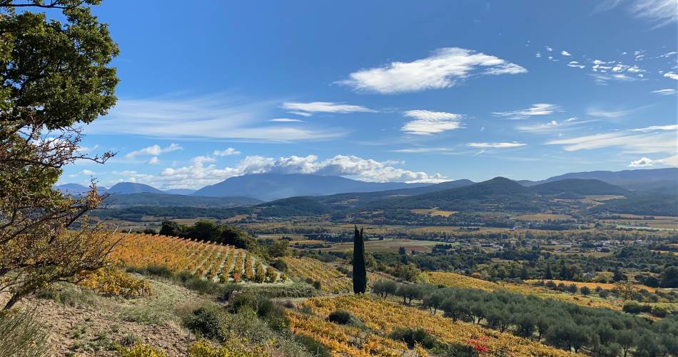 Domaine des Auzières@Domaine des Auzières