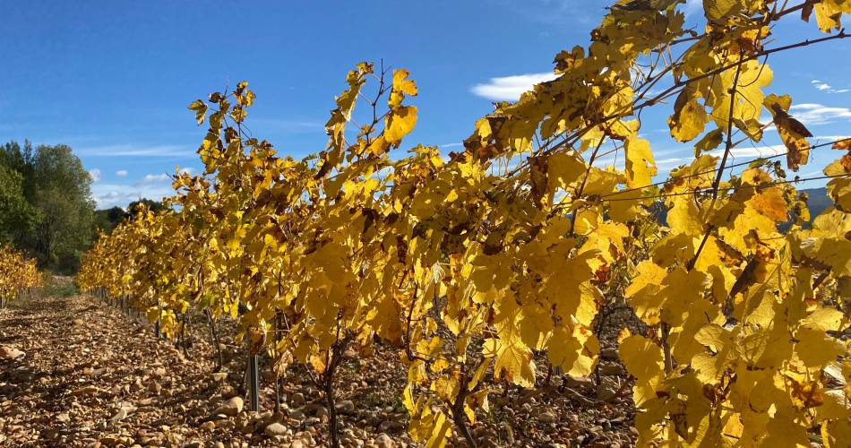 Domaine des Auzières@Domaine des Auzières