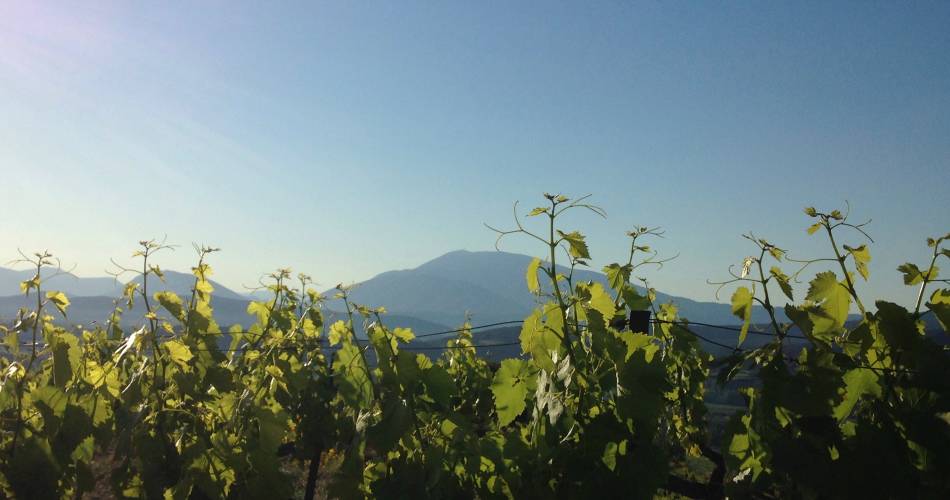 Domaine des Auzières@Domaine des Auzières