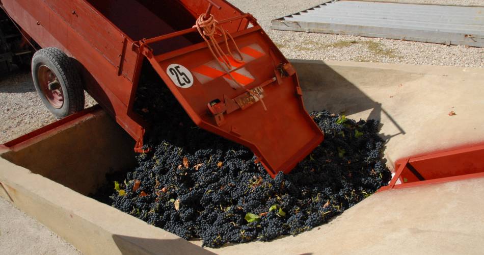 Domaine Combe Julière@Domaine Combe Julière