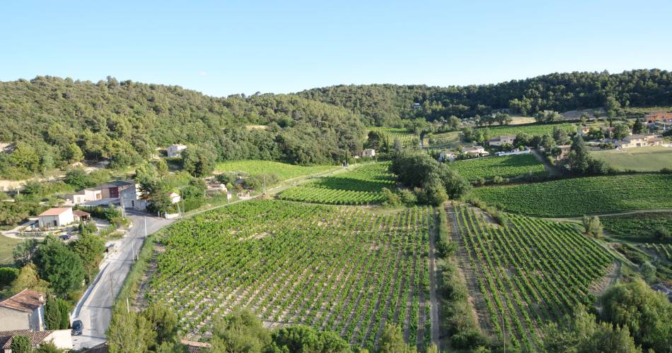 Visite du vignoble et de la cave - Domaine des Roches Fortes@Domaine des Roches Fortes