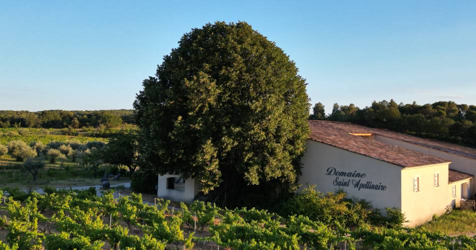 Domaine Saint Apollinaire@Domaine Saint Apollinaire
