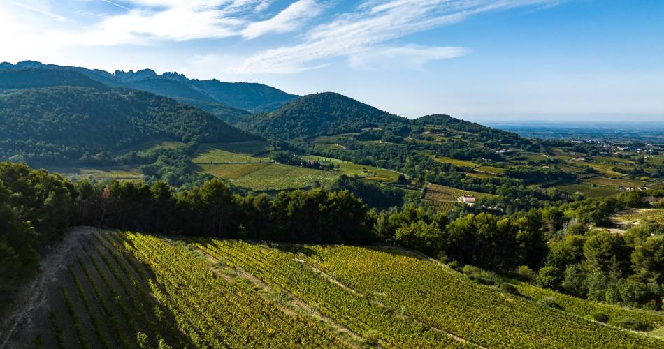 Clos Verquière@Clos Verquière